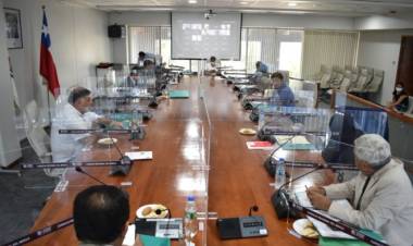 CORE aprueba a SERCOTEC más de mil millones de pesos para reactivar PYMES