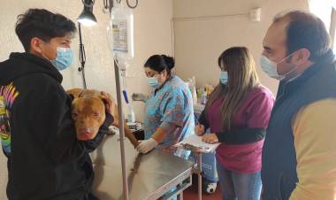 Más de mil prestaciones realizó en el mes de abril la “Clínica Médico Veterinaria Municipal” de Linares