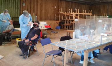 Sector forestal maulino fortalece trabajo y extrema medidas ante el Covid-19 