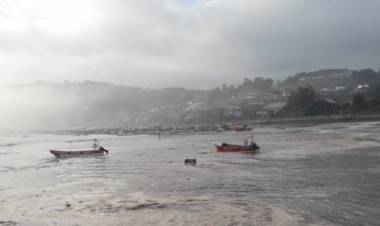 Marejadas en el Maule: Senadora Rincón pide urgente ayuda para pescadores artesanales afectados