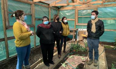 Panimávida cuenta con un herbario gracias al apoyo de la Municipalidad de Colbún