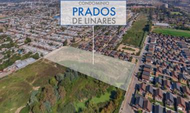 Proyecto inmobiliario pone en "peligro" conservación de humedal "Ayüwün" en Linares