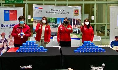 En el Maule entregaran 630 dispositivos de emergencia para mujeres sobrevivientes de violencia