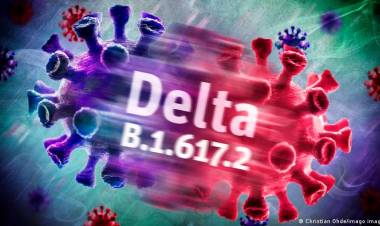 Primer caso activo con la variante Delta de Covid-19 es del Maule