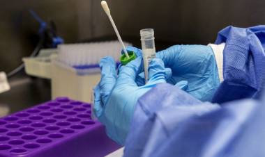 Linares suma 8 casos nuevos de Covid-19