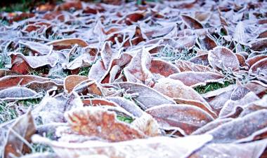 Hasta el viernes se extenderán  heladas en la zona central de Chile