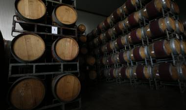 El Maule lideró aumento del 29,9 por ciento de la producción de vinos
