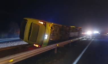 Nueve personas lesionadas y cinco caballos muertos es el saldo de accidente de tránsito en la Ruta Cinco sur entre Longaví y Linares