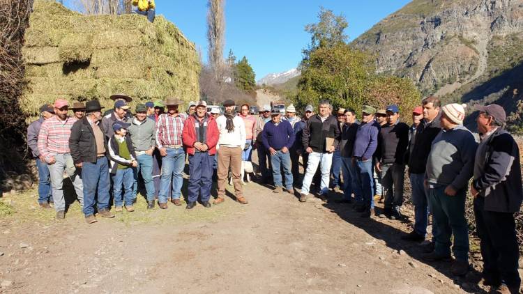 En marcha “plan forraje” en Colbún
