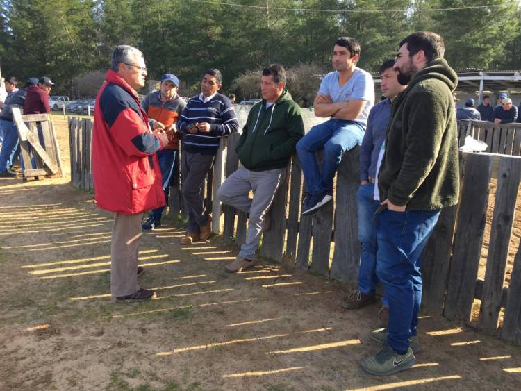 Rentería en contra de ley que prohíbe carreras de galgos