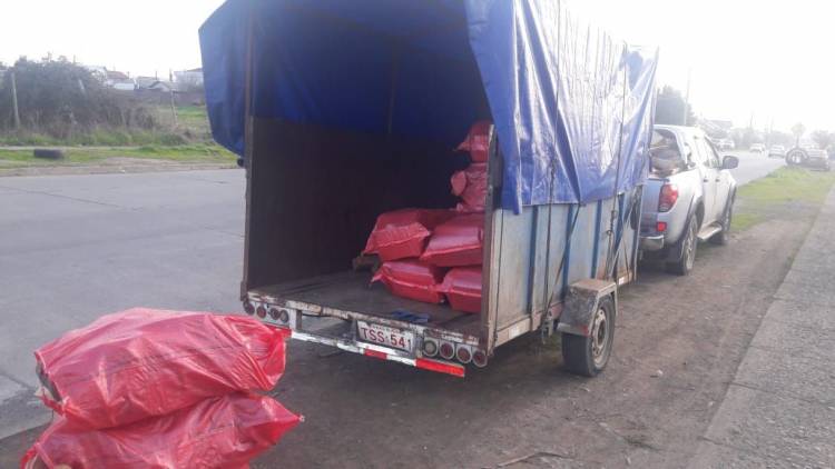 Fiscalizan venta de leña en Linares