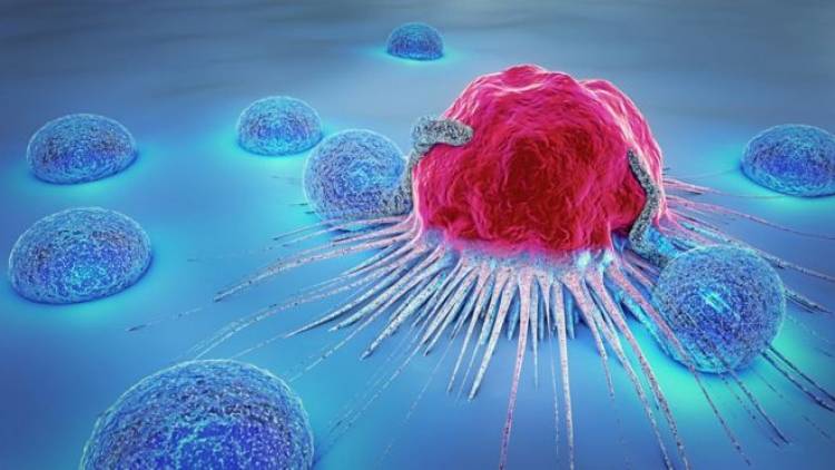 UTalca anuncia investigación conjunta con Instituto de México para desarrollar nuevas terapias contra el cáncer