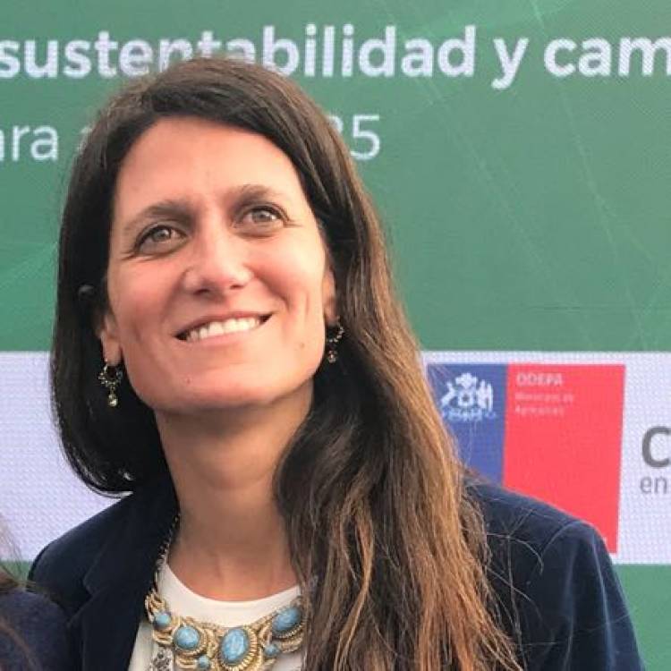 Seremi de Agricultura del Maule presentó renuncia al cargo