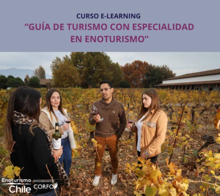 Estudiantes de la carrera de turismo del CFT Estatal del Maule terminaron con éxito curso de “enoturismo”