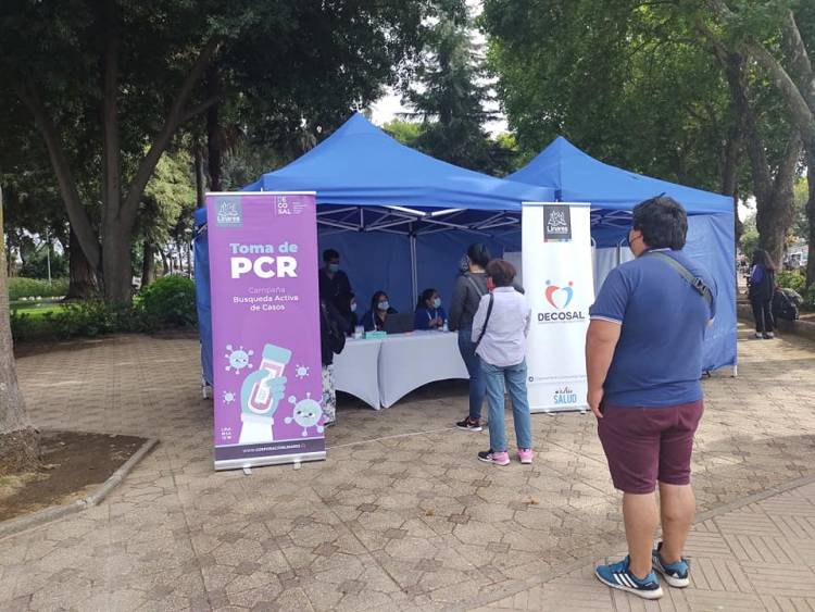 Pandemia del Covid-19 en Linares: 12 nuevos casos positivos para Coronavirus y los activos llegan a 171
