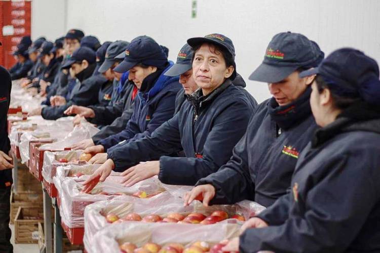 Consejo Regional aprueba mil 700 millones de pesos para crear más de mil puestos de empleo en el Maule