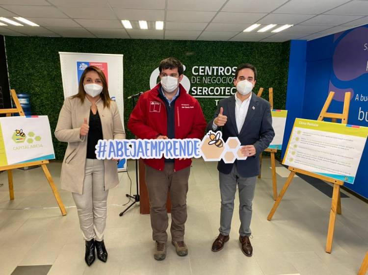 Sercotec y Sernameg lanzan primer subsidio para apoyar a mujeres emprendedoras en la región del Maule