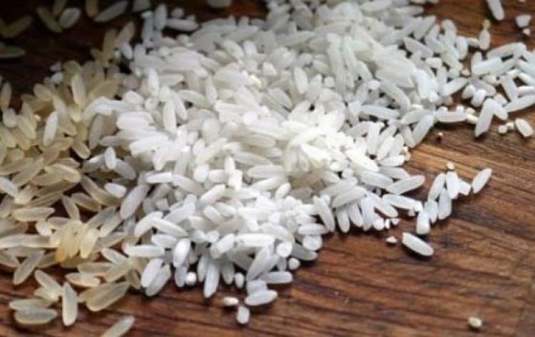 Organizaciones campesinas de productores de arroz analizaron situación de mercado